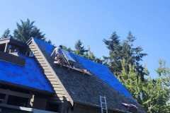 WhatsApp-Image-2025-08-11-at-11.47.03-AM