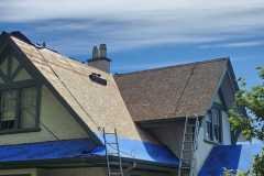 WhatsApp-Image-2025-08-11-at-11.47.04-AM-3