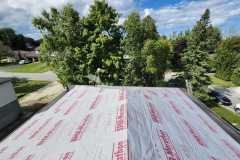 WhatsApp-Image-2025-08-11-at-11.48.04-AM