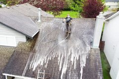 roof-soft-washing