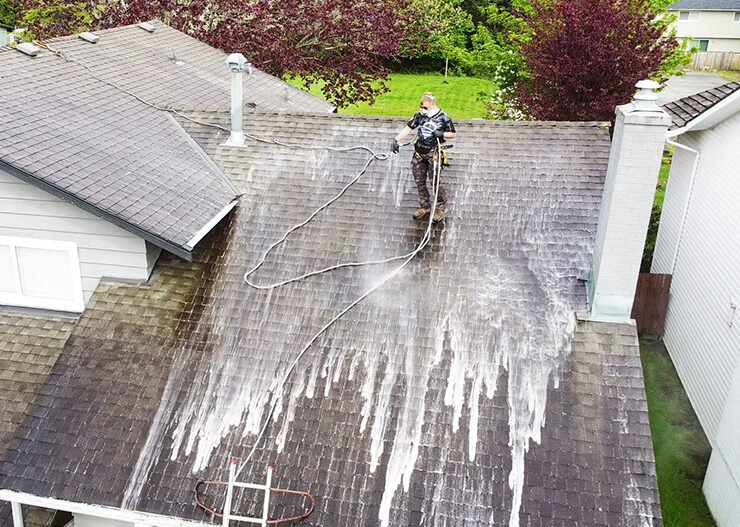 roof-soft-washing