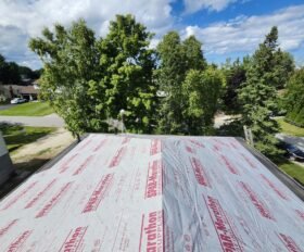 WhatsApp Image 2025-08-11 at 11.48.04 AM